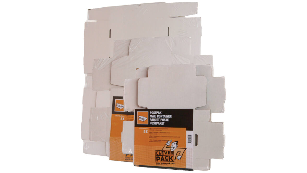 Postpakket CleverPack golfkarton 220x160x90mm wit pak à 5 stuks