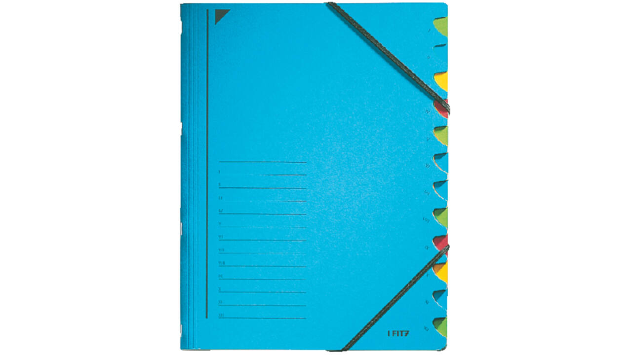 Sorteermap Leitz 12 tabbladen karton blauw