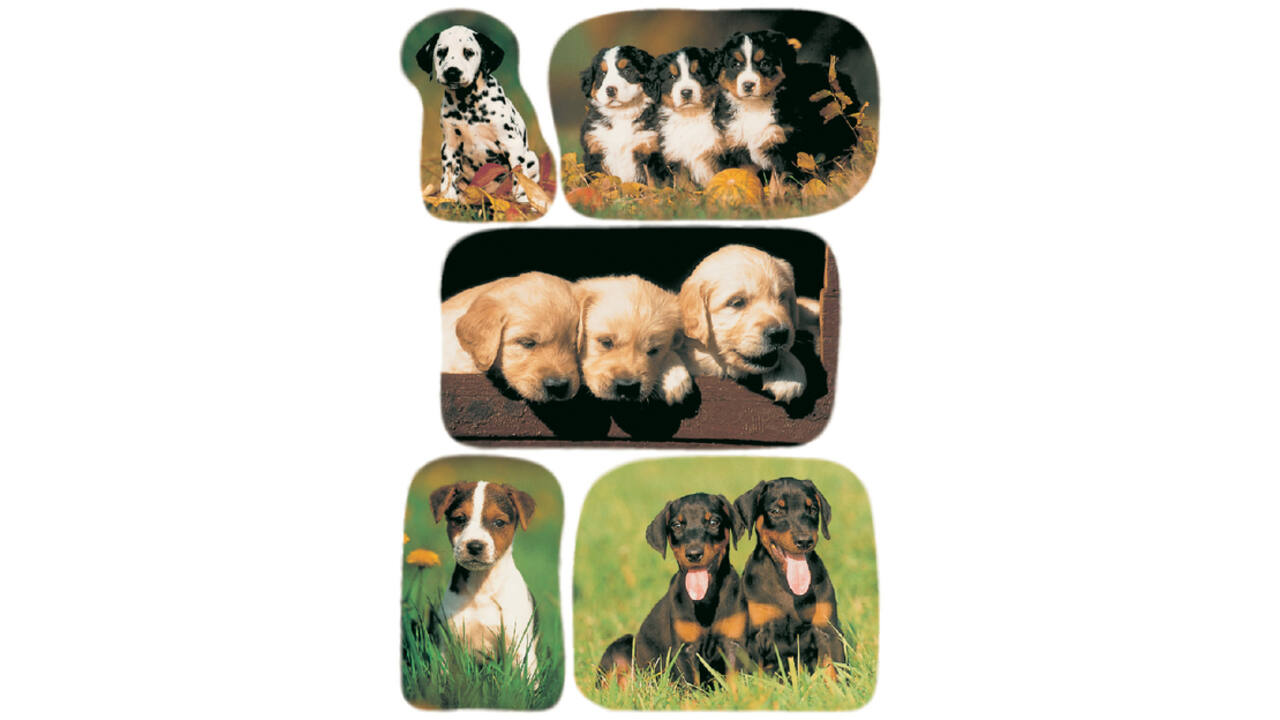 Etiket HERMA 3528 honden