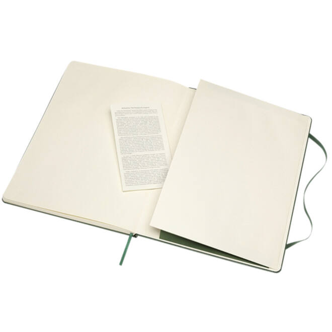 Notitieboek Moleskine XL 190x250mm lijn hard cover myrtle green