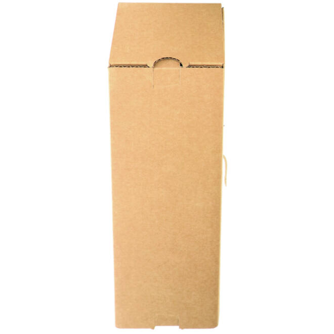 Verzenddoos fles IEZZY karton bruin 90x90x360mm