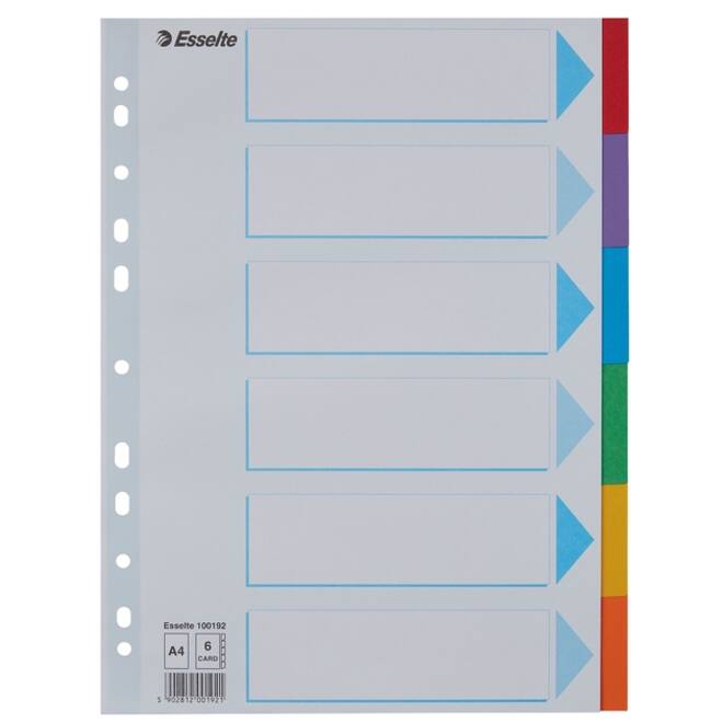 Tabbladen Esselte Standaard A4 6-delig karton 11-rings met voorblad assorti