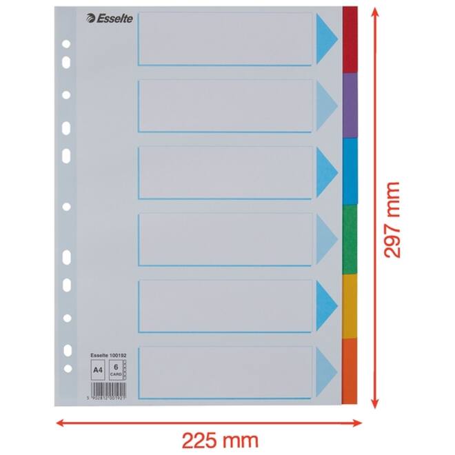 Tabbladen Esselte Standaard A4 6-delig karton 11-rings met voorblad assorti