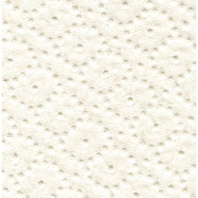 Handdoekrol Satino Comfort PT1 2-laags 150m wit 317940