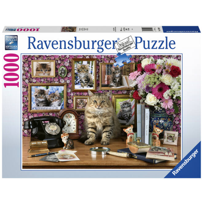 Puzzel Ravensburger Mijn katjes 1000 stukjes