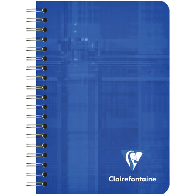 Notitieboek Clairefontaine A7+ 95x140 ruit 5x5 100blz 90gr assorti
