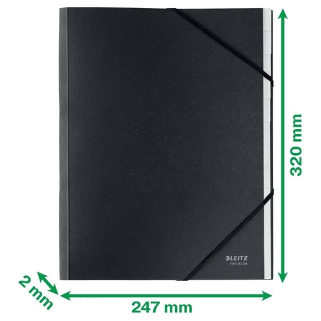 Sorteermap Leitz Recycle 12 tabs karton zwart