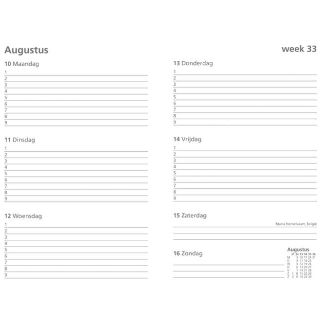 Schoolagenda 2024-2025 Ryam Studie Uni 7dagen/2pagina's rood