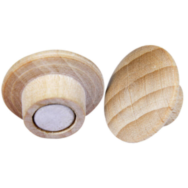 Magneet Legamaster hout 5 stuks