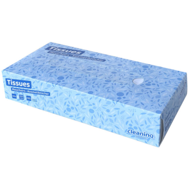 Facial tissues Cleaninq 2-laags 100stuks