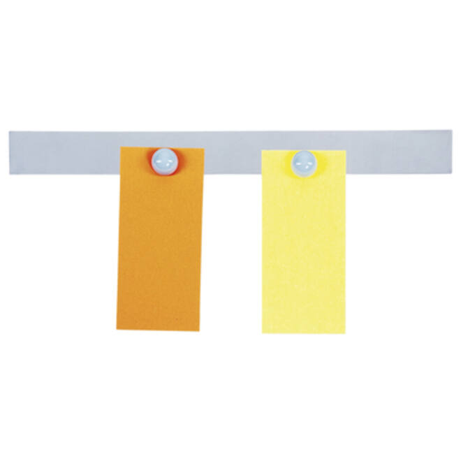 Wandlijst MAUL Solid RVS zelfklevend 50cm alu-kleur