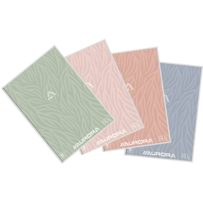 Schrift Aurora A4 lijn 120 pagina's 80gr assorti
