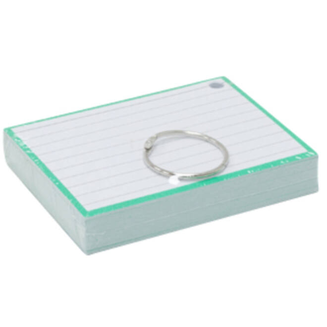 Flashcards A7 Groen incl. clipring