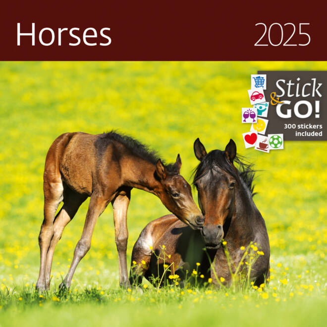 Kalender 2027 Helma 365 30x30cm paarden