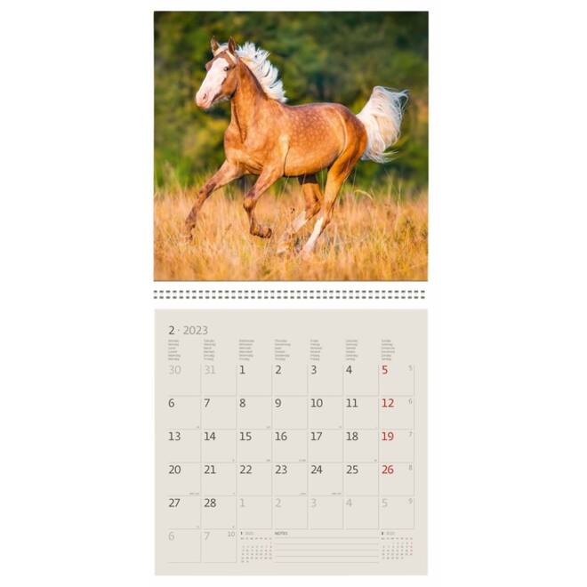 Kalender 2027 Helma 365 30x30cm paarden