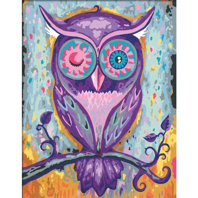 Schilderen op nummers CreArt Dreaming Owl