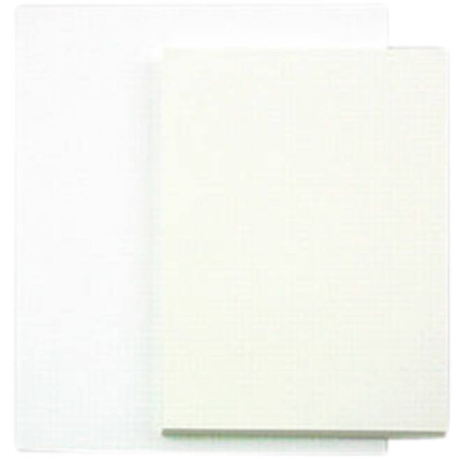 Tekenpapier Papyrus 65x100cm 160gr 125vel