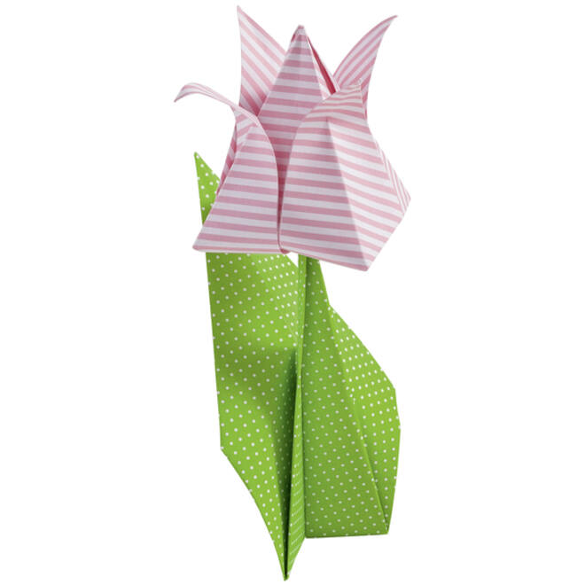 Vouwblaadjes Folia 80gr 20x20cm 50 vel 2-zijdig 10 basics designs