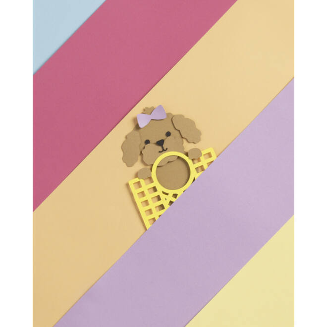 Fotokarton Folia 2-zijdig 50x70cm 300gr nr65 goud