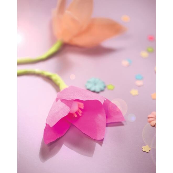 Crêpepapier Folia 250x50cm nr122 donker violet