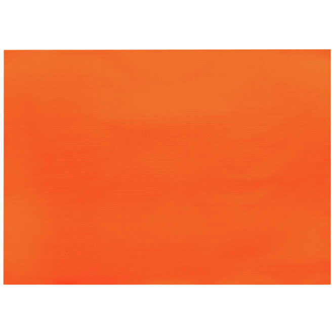 Placemats oranje Infibra 30x40cm 250vel