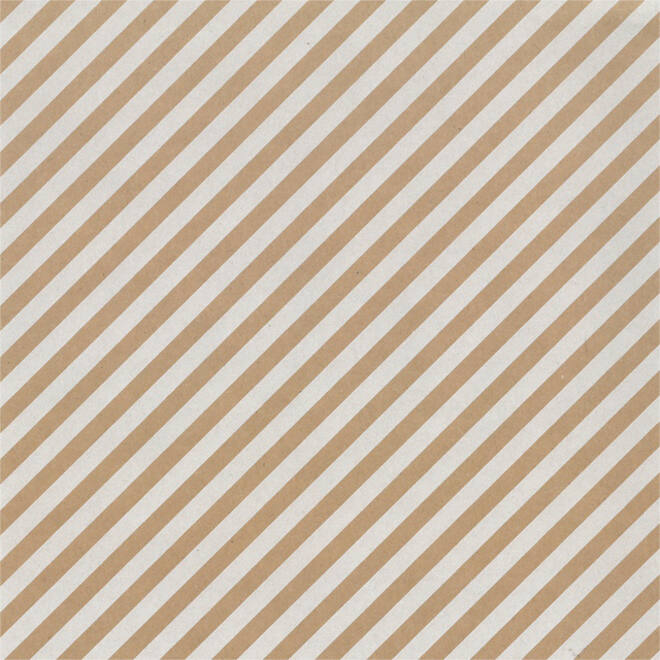 Inpakpapier Special Wrap 200mx70cm kraft assorti