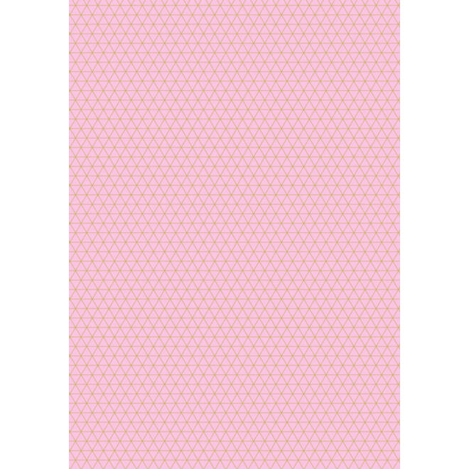 Inpakpapier Stewo Fresh Patterns 200x70cm assorti