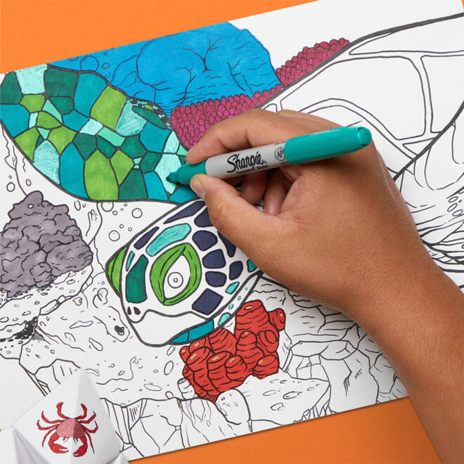 Viltstift Sharpie rond Beat the Maze fijn assorti pak à 30 stuks