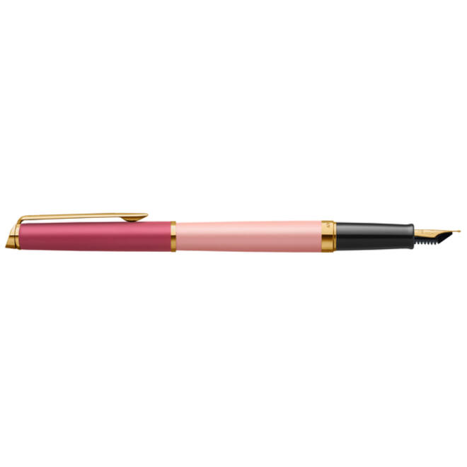 Vulpen Waterman Hémisphère Colour Blocking pink GT fijn