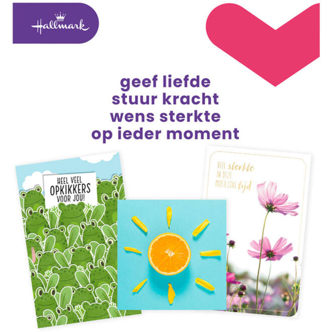 Wenskaart Hallmark navulset beterschap/sterkte 12 kaarten