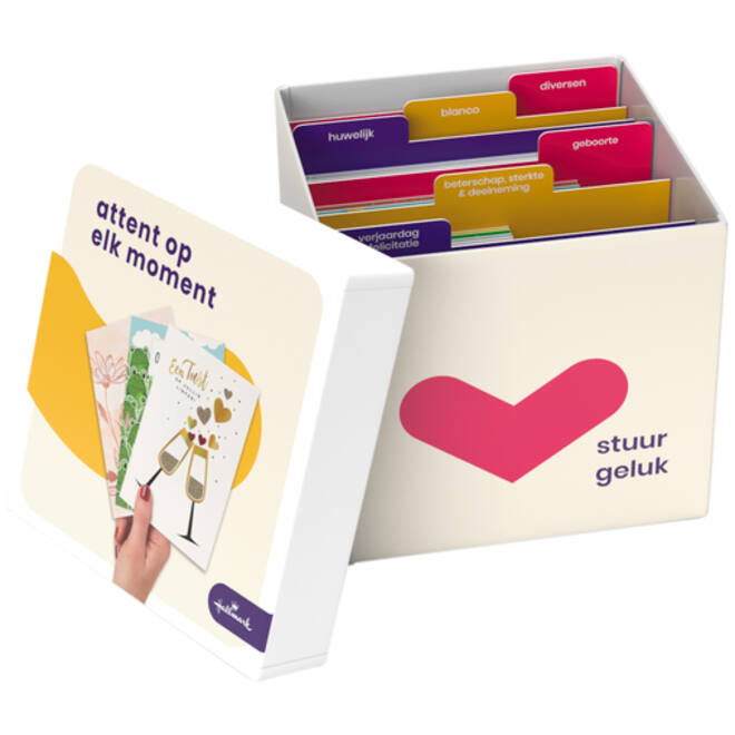 Wenskaart Hallmark business box 80 kaarten assorti
