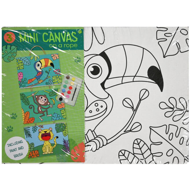 Canvasset om in te kleuren assorti