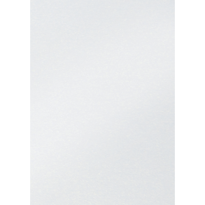 Fotokarton Folia 2-zijdig 50x70cm 250gr parelmoer nr00 wit