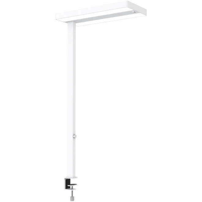 Werkpleklamp tafelklem MAUL Juvis LED beweging- daglichtsensor dimbaar hg 120cm wit