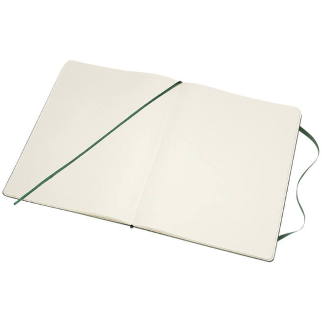 Notitieboek Moleskine XL 190x250mm blanco hard cover myrtle green