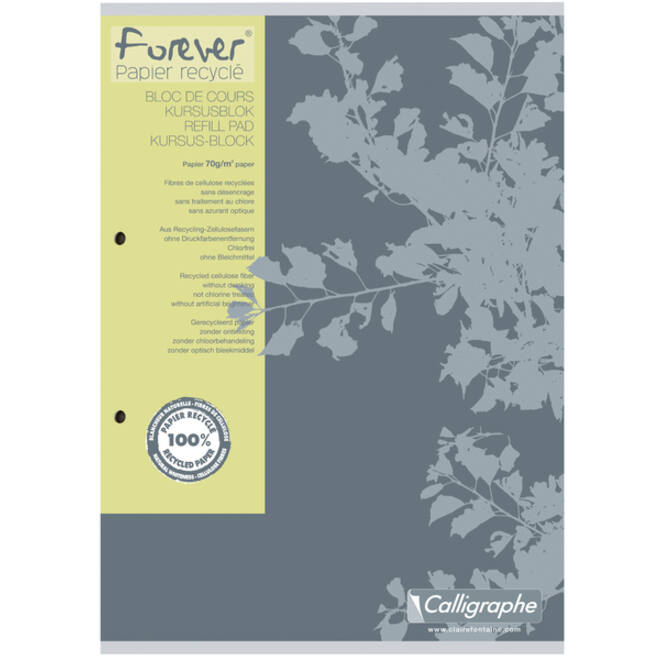 Cursusblok Clairfontaine Forever Calligraphe A4 ruit 5x5mm 2-gaats 200 pagina's 70gr grijs