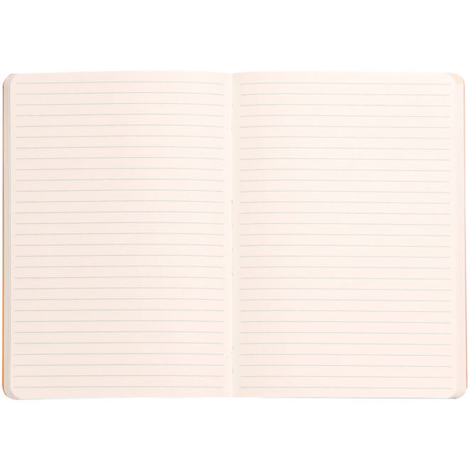 Notitieboek Rhodia A5 lijn 80 vel 90gr celadon