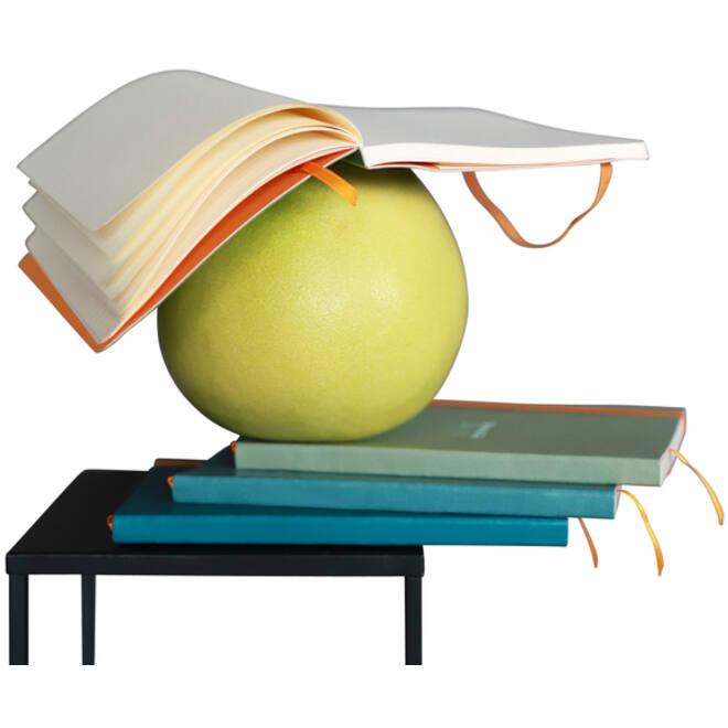 Notitieboek Rhodia A5 lijn 80 vel 90gr celadon