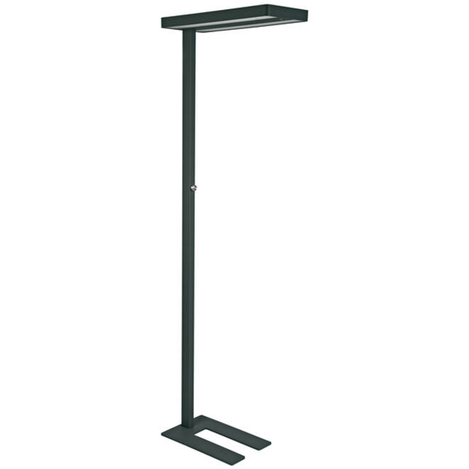 Vloerlamp MAUL Juvis LED beweging- daglichtsensor dimbaar hg 195cm zwart