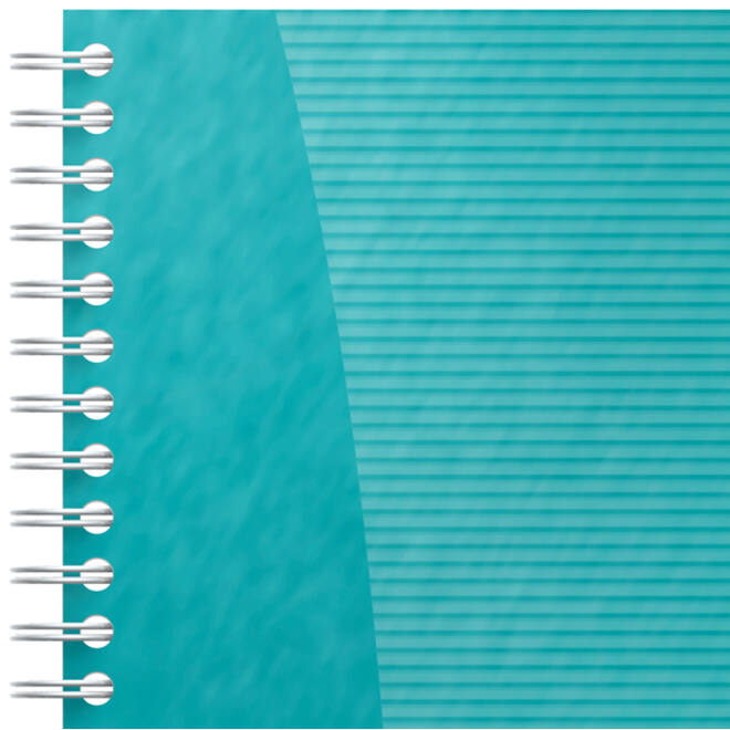 Task Manager Oxford 141x246 mm 115vel aqua