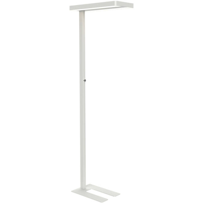 Vloerlamp MAUL Javal LED dimbaar wit hoog 195cm