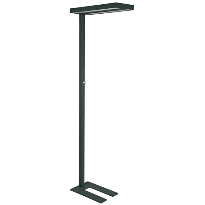 Vloerlamp MAUL Javal LED dimbaar zwart hoog 195cm