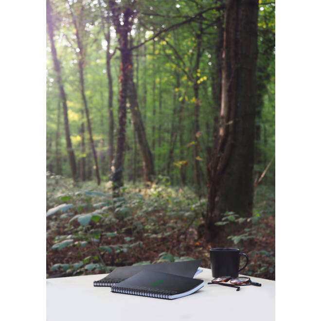 Notitieboek Rhodia Greenbook A4+ lijn 4-gaats 180 pagina's 90gr zwart