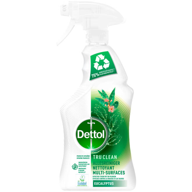 Allesreiniger Dettol TC Eucalyptus spray 500ml