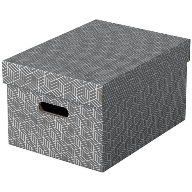 Opbergdoos Esselte home middelgroot 265x205x365mm grijs 3 stuks