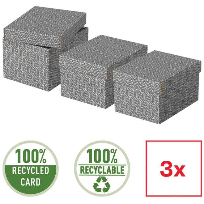 Opberg- en geschenkdoos Esselte home klein 200x150x255mm gr 3 st