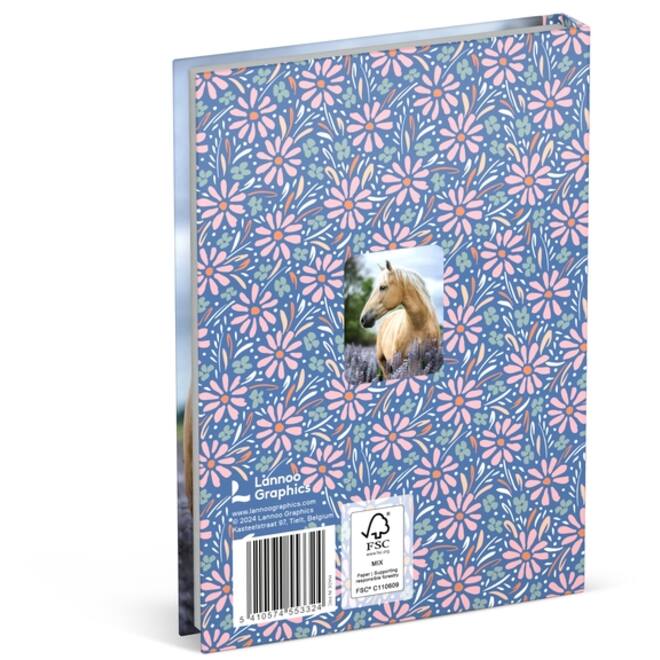Schoolagenda 2024-2025 Lannoo Amazone 1dag/1pagina blauw
