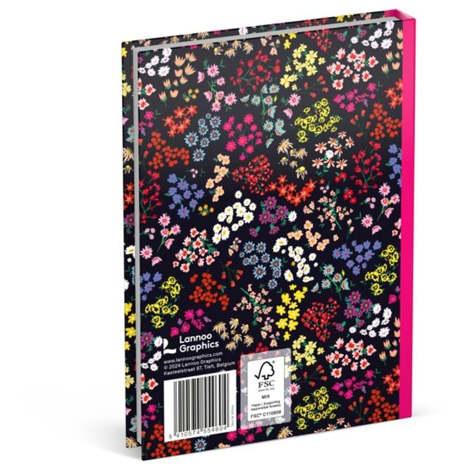 Schoolagenda 2024-2025 Lannoo 100% Love 1dag/1pagina
