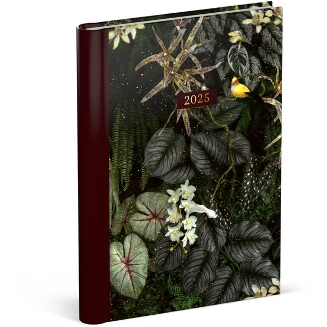 Agenda 2025 Lannoo Botanic 7dagen/2pagina's dark green