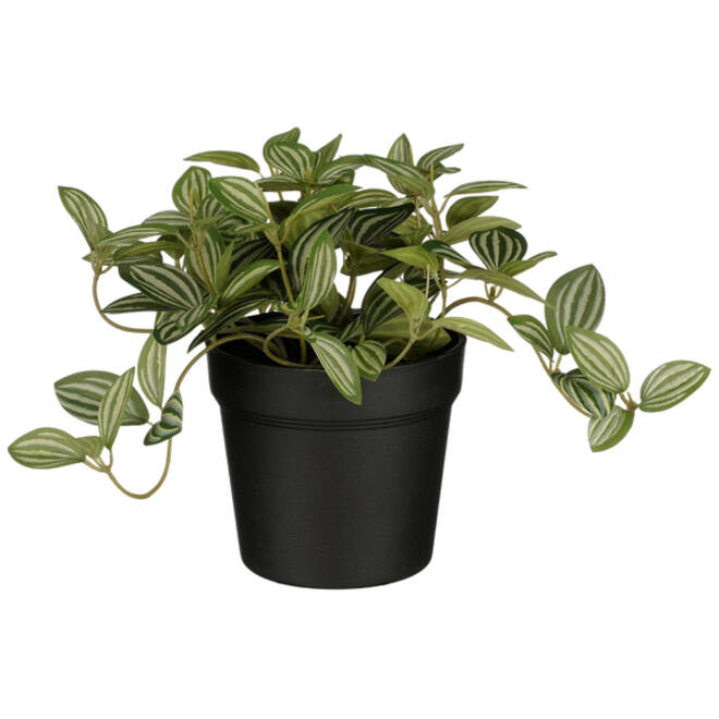 Kunstplant Mica Tradescantia in pot 16x16cm
